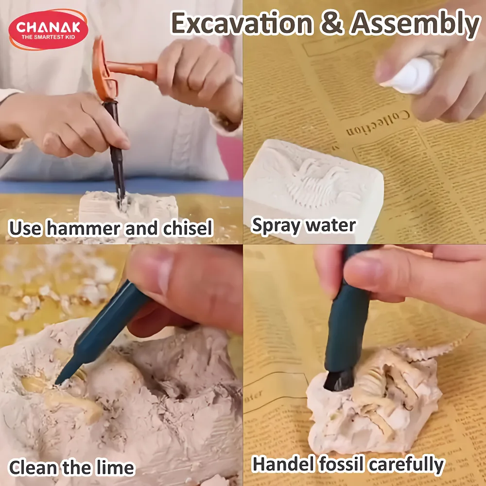 Chanak Dinosaur Skeleton Dig Kit 6-IN-1 Steam Archaeology Set - Image 5