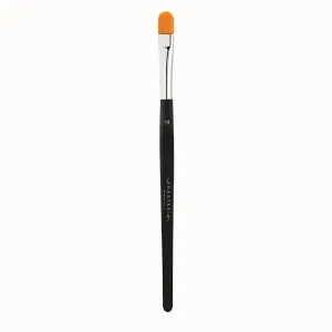 Anastasia Beverly Hills Brush - #18